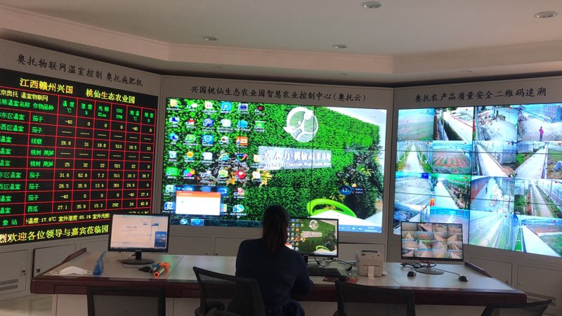 福建现代农业选购指南：绿色生态的选择