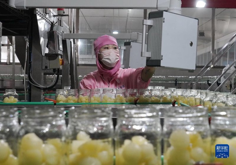 探索农产品深加工的无限可能